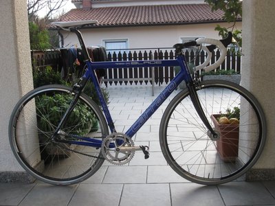 CARRARO_Muslauf_2.JPG